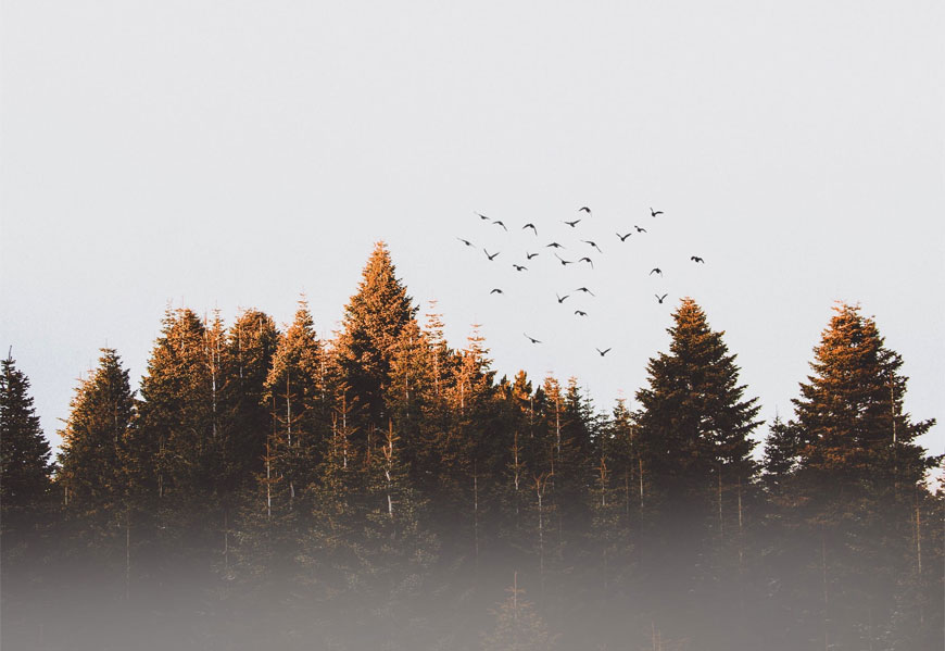 美研VI設(shè)計公司創(chuàng)意和表現(xiàn)有規(guī)律可循嗎？