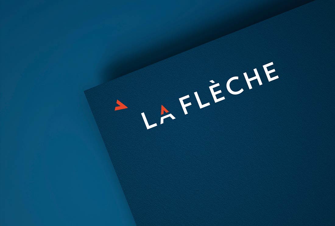 長沙萊爾維思門業(yè)公司LOGO設(shè)計(jì)-3